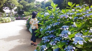 大塚性海寺公園あじさい