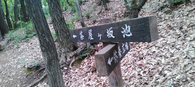 2018年茶屋ヶ坂公園のあじさいを堪能・小径の散策がすがすがしい(名古屋市千種区) 2018年茶屋ヶ坂公園のあじさいを堪能・小径の散策がすがすがしい(名古屋市千種区)