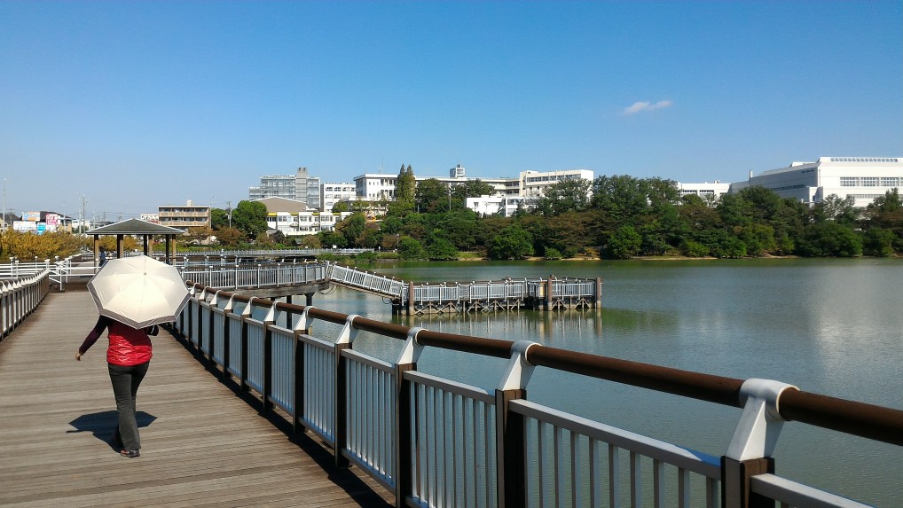 愛知県大府市二ツ池公園デッキ風の散策路