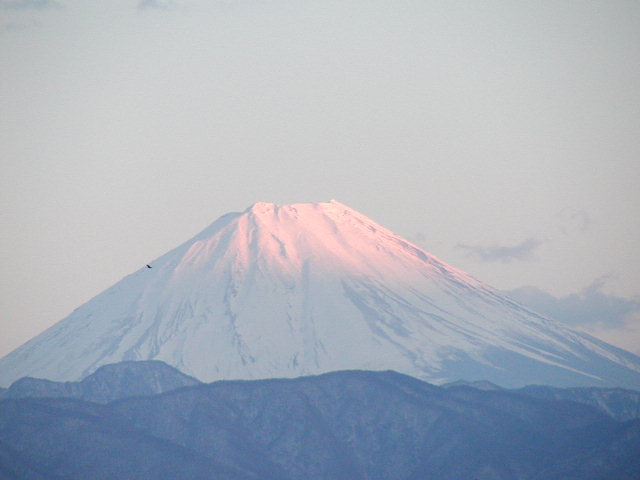 舞鶴城公園（甲府城跡）から見た富士山