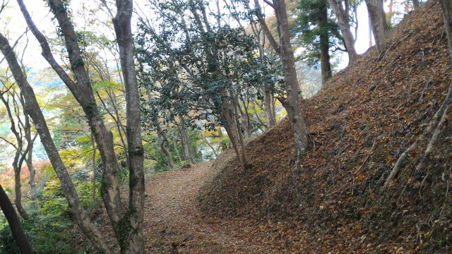 香嵐渓の飯盛山山頂付近の山道