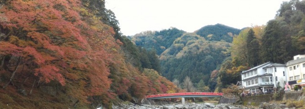 香嵐渓でもみじ狩り おすすめ観光散策コースは1時間で 愛知県豊田市 なごやねっと Na58 Net