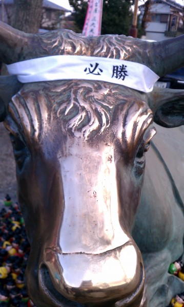 上野天満宮（名古屋市千種区）の撫で牛アップ