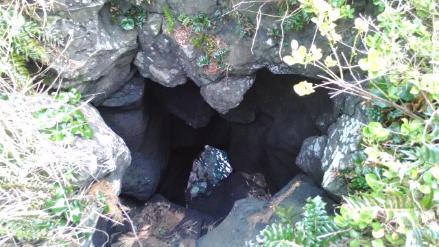 伊東市城ヶ崎海岸・岸壁付近の20メートルほど下にある洞穴と波