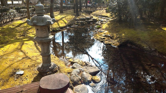 三島市源兵衛川の水辺の散歩道「水の苑緑地」