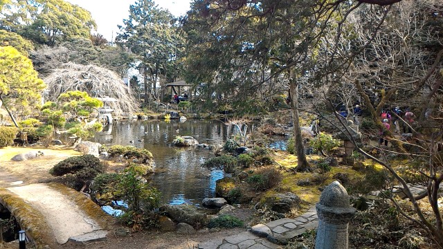 隆泉苑（静岡県三島市）の回遊式庭園の様子