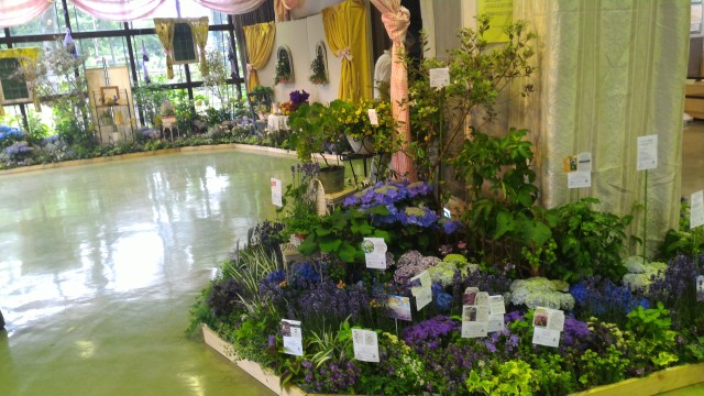 荒子川公園（名古屋市港区）ガーデンプラザ内のラベンダーの展示