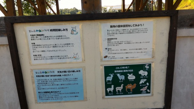 日本昭和村のふれあい牧場での遊び方