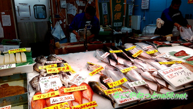 愛知県南知多豊浜「魚ひろば」の新鮮な魚介類