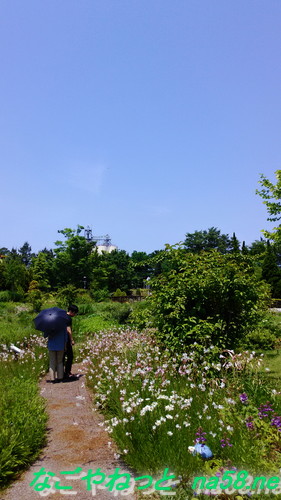 フラワーガーデン「ブルーボネット」の園内風景
