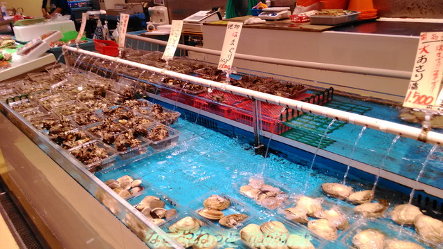 愛知県美浜町「魚太郎」の店内いけすの貝
