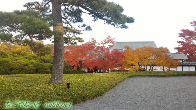 熱海MOA美術館リニューア後の茶の庭からの紅葉風景