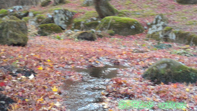 道の駅天城越えの紅葉11月流れる小川
