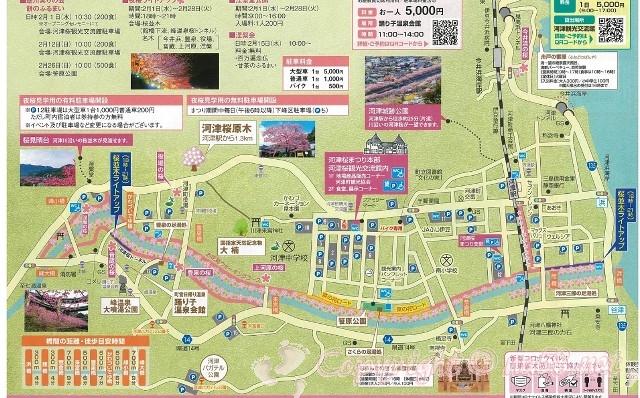 河津桜まつり2023　地図　マップ
