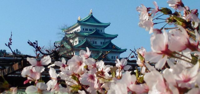 名古屋城満開の桜・絶景スポットでとってきました(2018年3月下旬) 名古屋城満開の桜・絶景スポットでとってきました(2018年3月下旬)