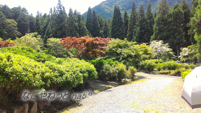モネの池の隣、根道神社から続くあじさい園「ユネスコの森」岐阜県関市板取