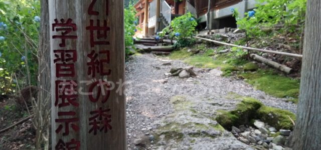 21世紀の森学習展示館・スギ杉のことならお任せ(岐阜県関市板取) 21世紀の森学習展示館・スギ杉のことならお任せ(岐阜県関市板取)