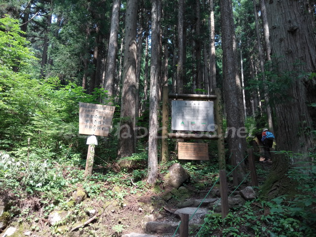 21世紀の森公園（岐阜県関市）の珍しい大株杉とハイキングコース