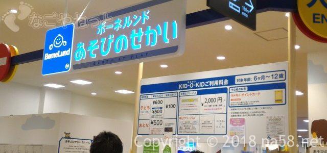 ボーネルンドあそびのせかい・室内の遊び場で安全いきいき(愛知県日進市) ボーネルンドあそびのせかい・室内の遊び場で安全いきいき(愛知県日進市)