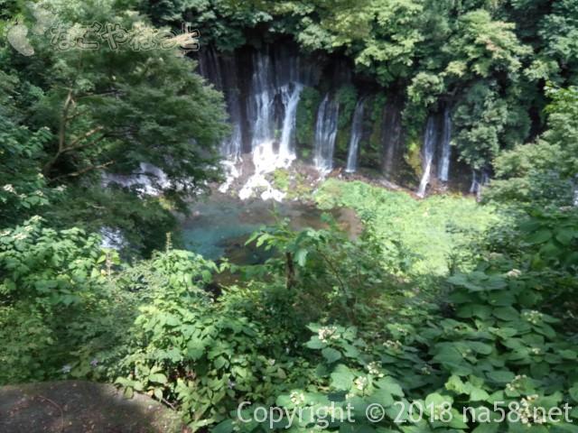  静岡県の富士宮市「白糸の滝」全容