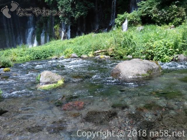  静岡県の富士宮市「白糸の滝」水は冷たい