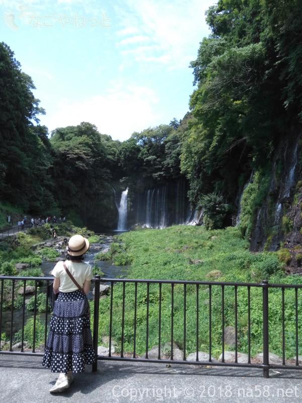  静岡県の富士宮市「白糸の滝」ビュースポット