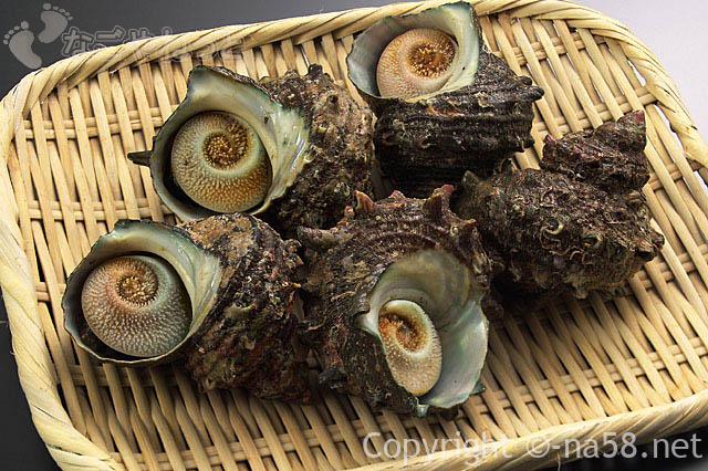 海鮮が食べ放題！名古屋港区で大盤振る舞い？飲み放題も(子供料金あり)サザエの画像