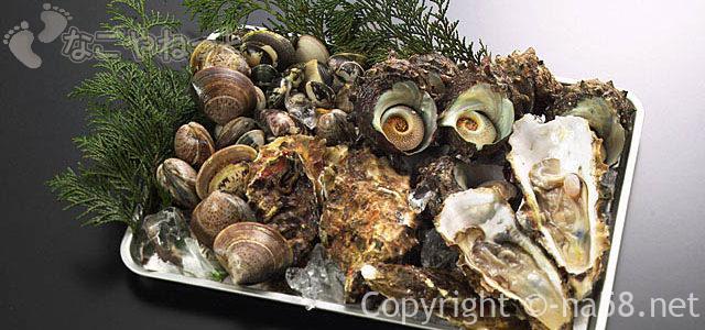 海鮮が食べ放題!名古屋港区で大盤振る舞い?飲み放題も(子供料金あり) 海鮮が食べ放題!名古屋港区で大盤振る舞い?飲み放題も(子供料金あり)