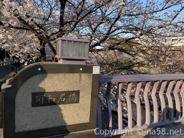 山崎川の桜並木花見、南はかわな橋から