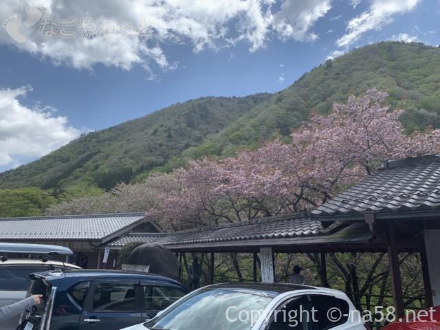 道の駅「明宝」（岐阜県郡上市）八重桜と山並みの景色