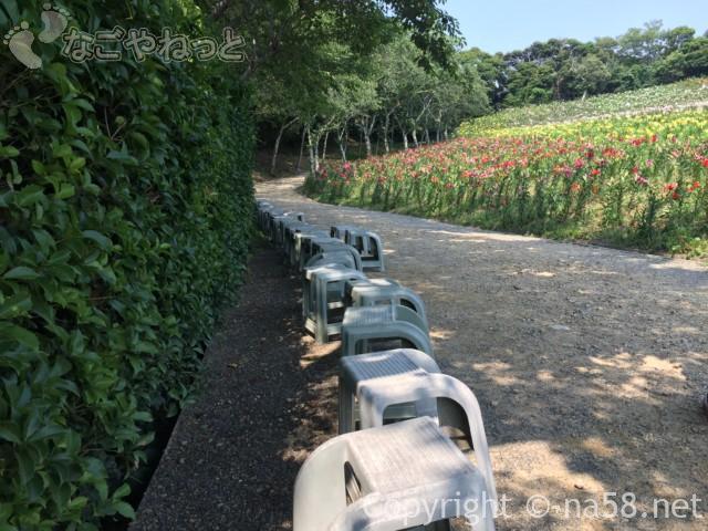 可睡ゆりの園（静岡県袋井市）のゆり鑑賞に椅子が置いてある