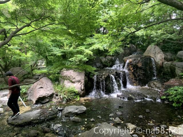 「白鳥庭園」（名古屋市熱田区）園内の雄滝