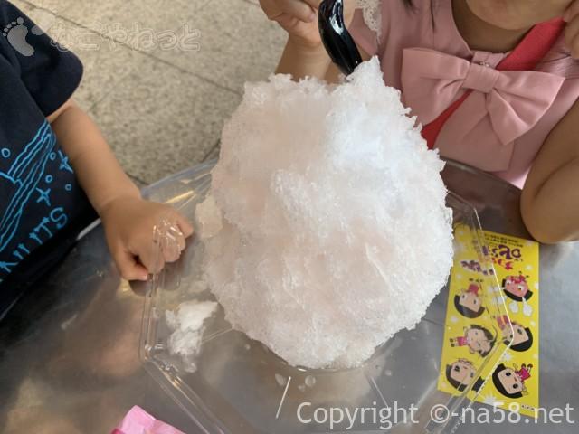 名古屋の栄のオアシス21で、川久屋のかき氷を食べる
