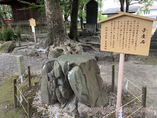 「日吉神社」愛知県清須市、子産石と解説