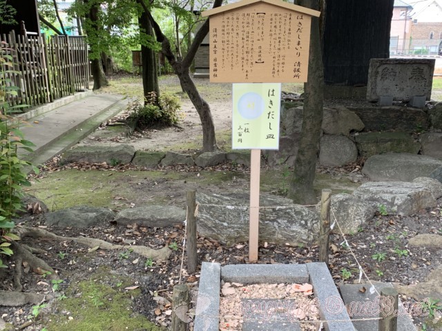 「日吉神社」愛知県清須市、「はきだしまいり」