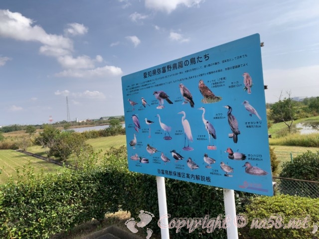 弥富野鳥園（愛知県弥富市）愛知県弥富野鳥園の鳥たち 解説板