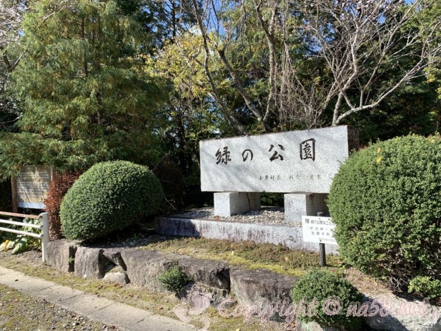 小原四季桜まつり(愛知県豊田市)四季の回廊ウォーキング、緑の公園