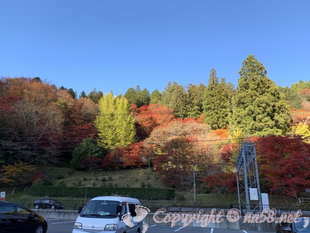 大井平公園（豊田市稲武町）の駐車場とバックの紅葉
