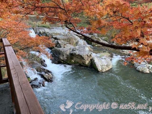 大井平公園（豊田市稲武町）の見晴らし台からの見事な紅葉