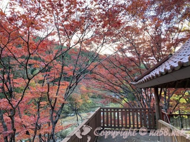 大井平公園（豊田市稲武町）の見晴らし台からの見事な紅葉