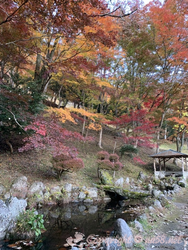 大井平公園（豊田市稲武町）の紅葉の風景