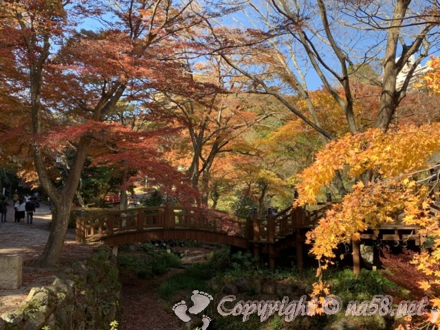 熱海梅園（静岡県熱海市）のもみじまつり、見ごろ紅葉