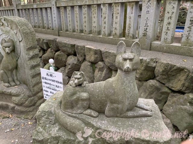 豊川稲荷（愛知県豊川市）きつね塚の狐の石像