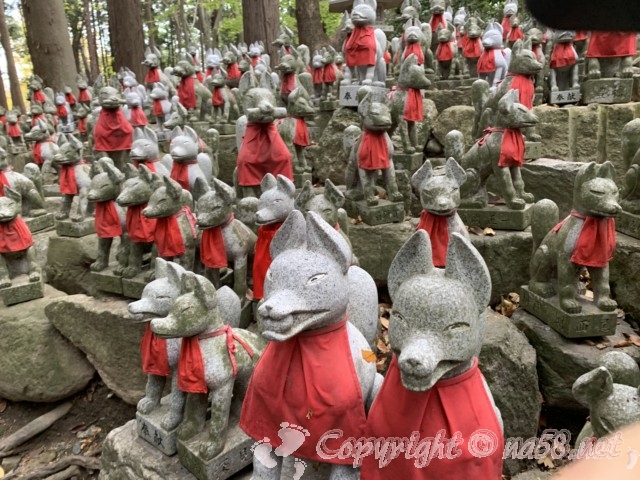 豊川稲荷（愛知県豊川市）きつね塚の狐の石像の数々