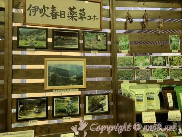 春日モリモリ村（岐阜県揖斐川町）薬草コーナーお土産も