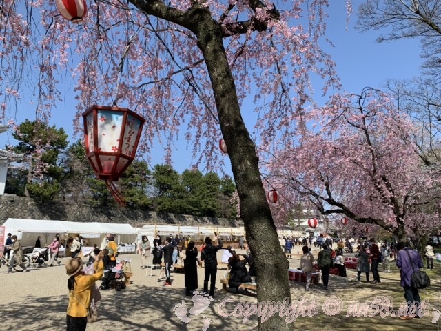 名古屋城を観光 無料と近くの有料駐車場 地元民が調べてきました 名古屋中区 動画あり なごやねっと Na58 Net