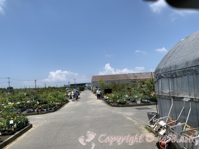 愛知県西尾市「憩いの農園・バラ園」農園の内部広々