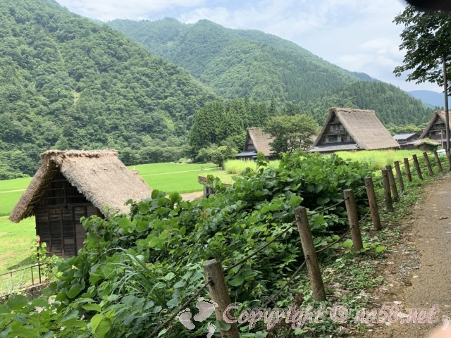 世界遺産・五箇山合掌造り集落（富山県）集落の風景