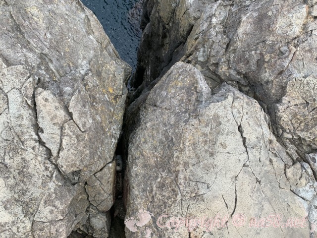 東尋坊（福井県坂井市）奇岩の絶壁の端の方　真下の海をみる