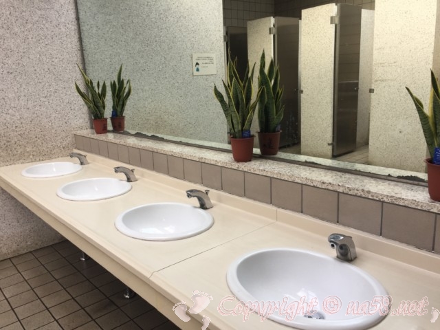 「道の駅　近つ飛鳥の里太子」大阪府太子町　のトイレ（女性用）洗面所